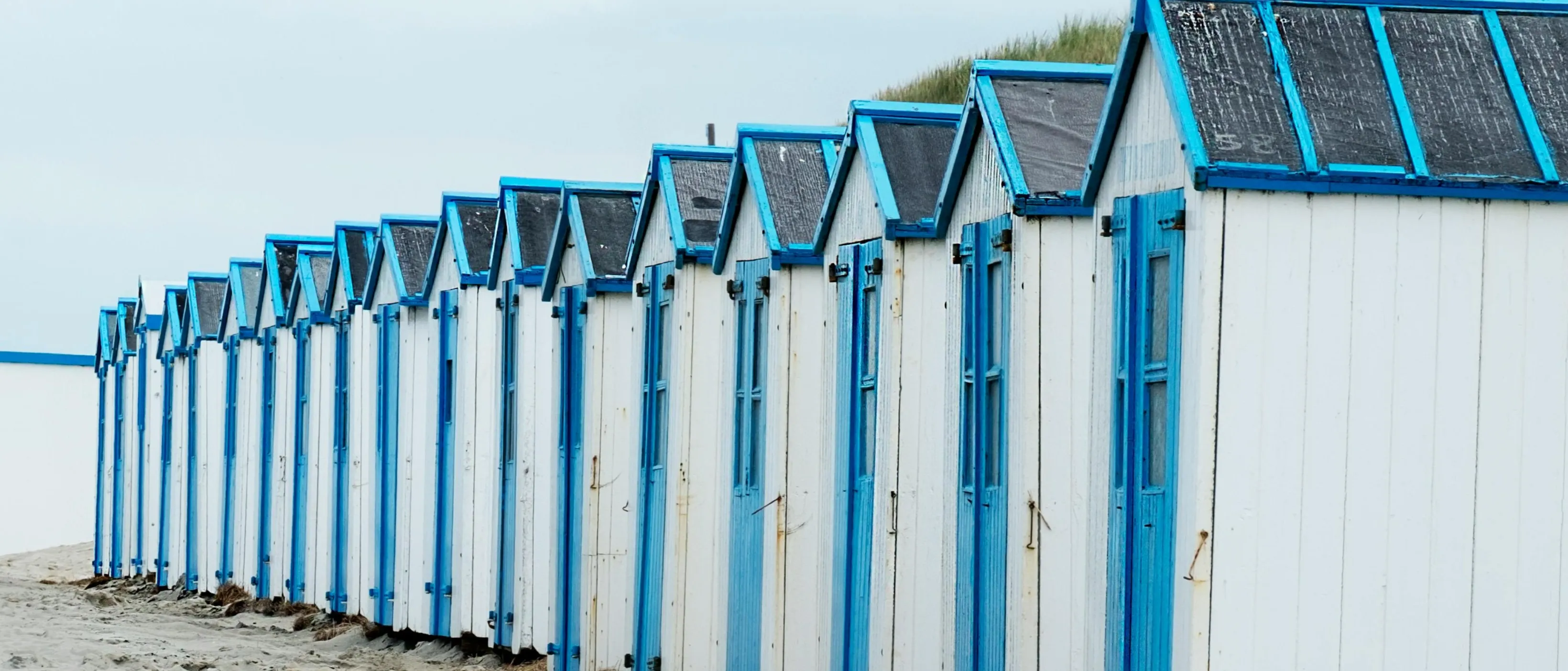 Background image section